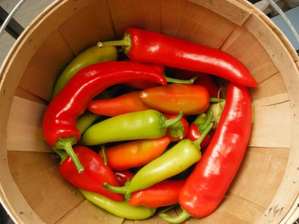 Hungarian Hot Wax Pepper