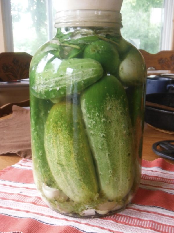 National Pickling Cucumber - Image 2