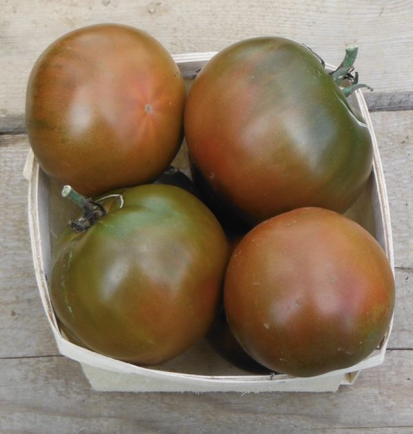 Black Prince Tomato