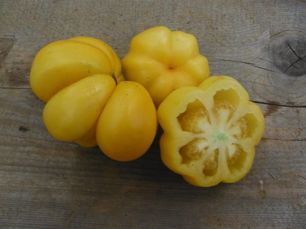 Yellow Stuffer Tomato