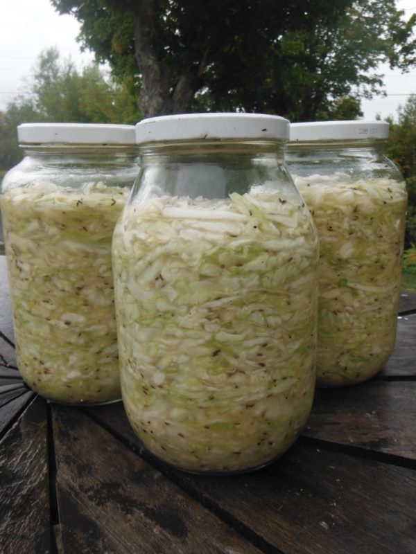 Tancook Island Cabbage - Image 9