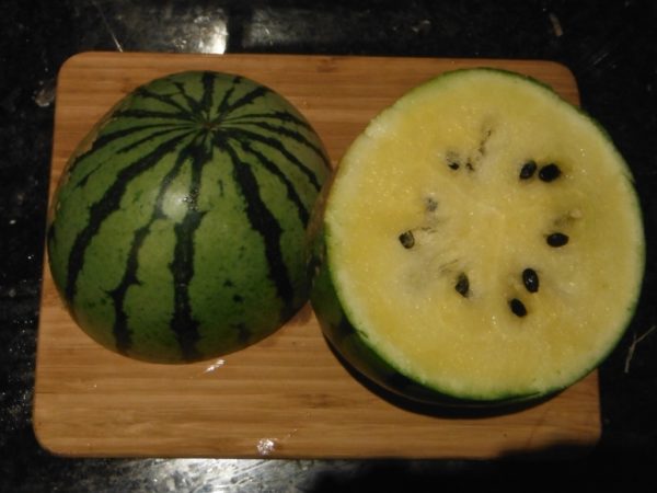 Early Moonbeam Watermelon - Image 8