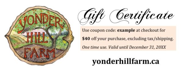 $40 Gift Certificate