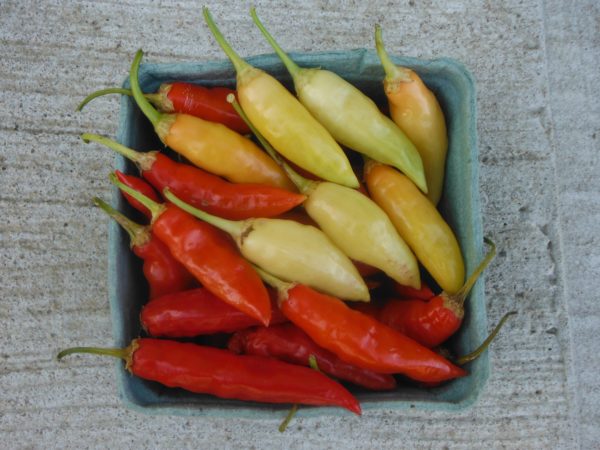 Aji Crystal Hot Pepper