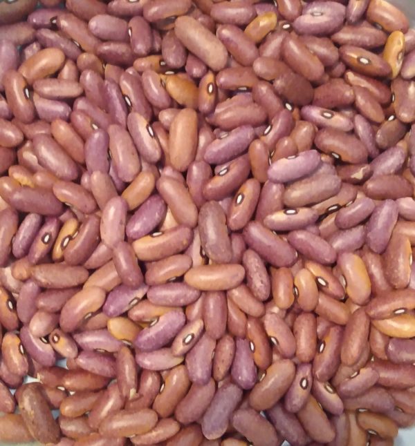 Mrociumere Bean