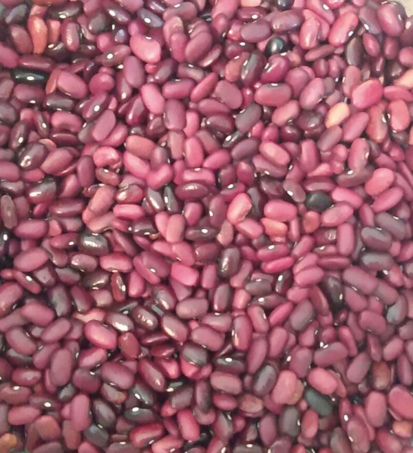 Nicaragua Revolution Bean