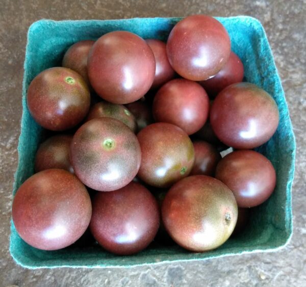 Black Cherry Tomato