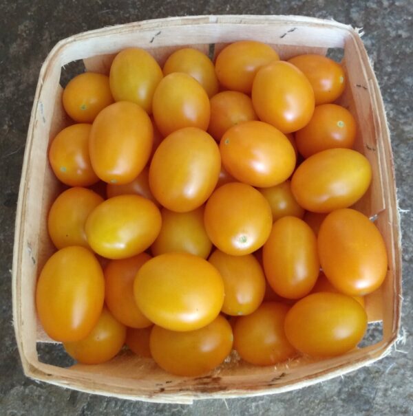 Yellow Plum Tomato