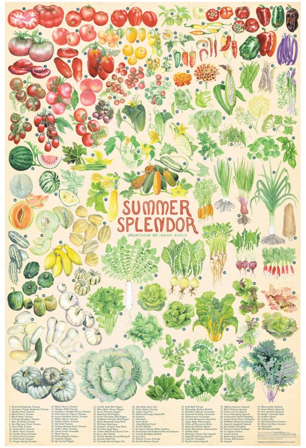 Summer Splendor Poster