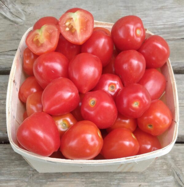 Gardener's Sweetheart Cherry Tomato