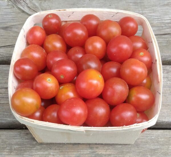 Peacevine Cherry Tomato