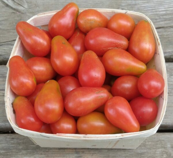 Red Pear Tomato