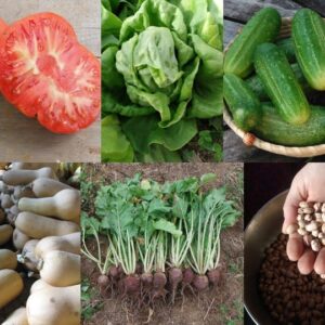 Heirloom Vegetable Garden Collection