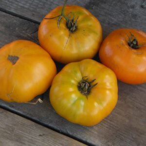 Tomate Brandywine Jaune