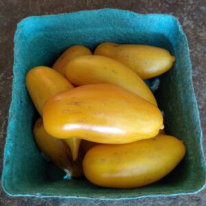 Tomate Roma Banana Legs