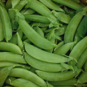 Snap Peas & Snow Peas