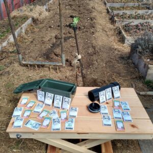 Basic Apocalypse Prep Garden Starter Pack