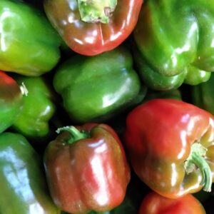 Poivron California Wonder