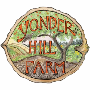 Yonder Hill Farm superimposed over an illustration of a farmer's field with a tree and a bird on the tree branch.